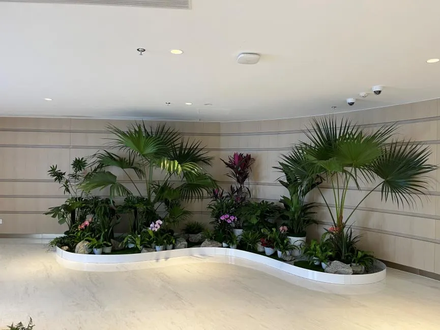 探寻宁波奉化花木租赁，开启独特绿植体验之旅